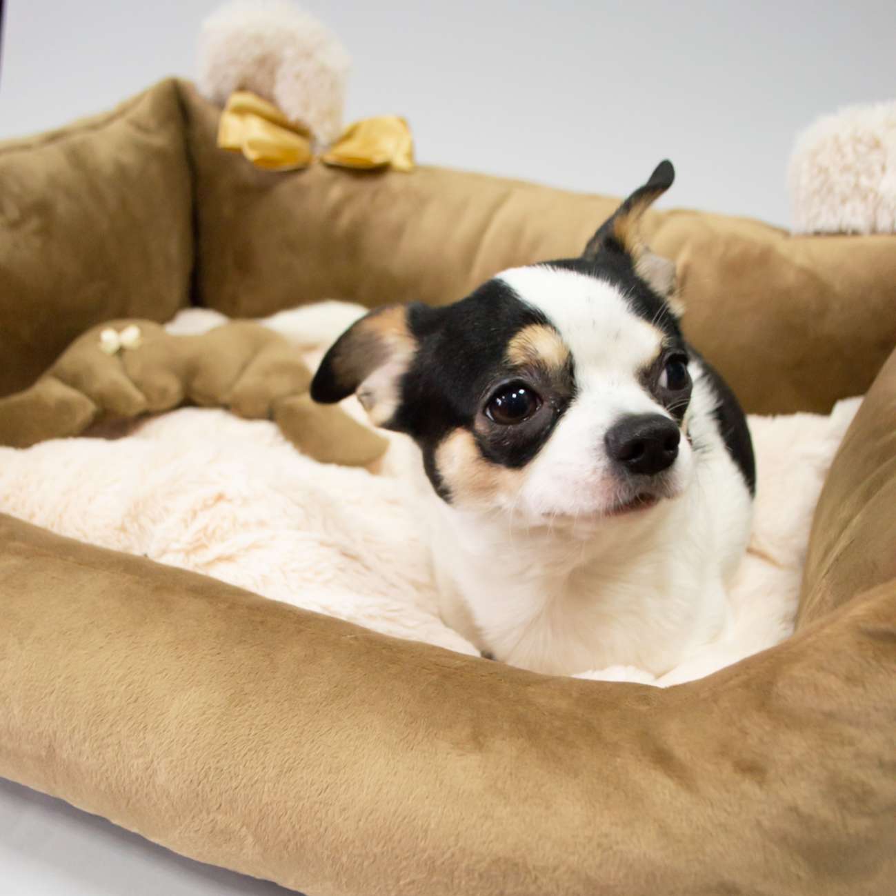 Диван для собаки Puffy Умка Шоколадный