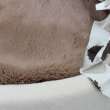 Домик для собаки со шторками Puffy Берёзка