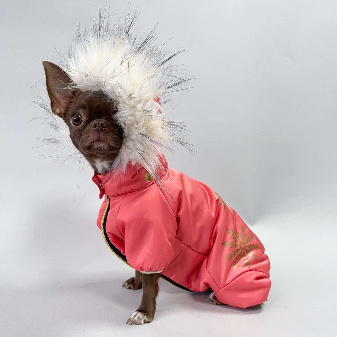 Зимний комбинезон для собак Арктическая зима коралловый