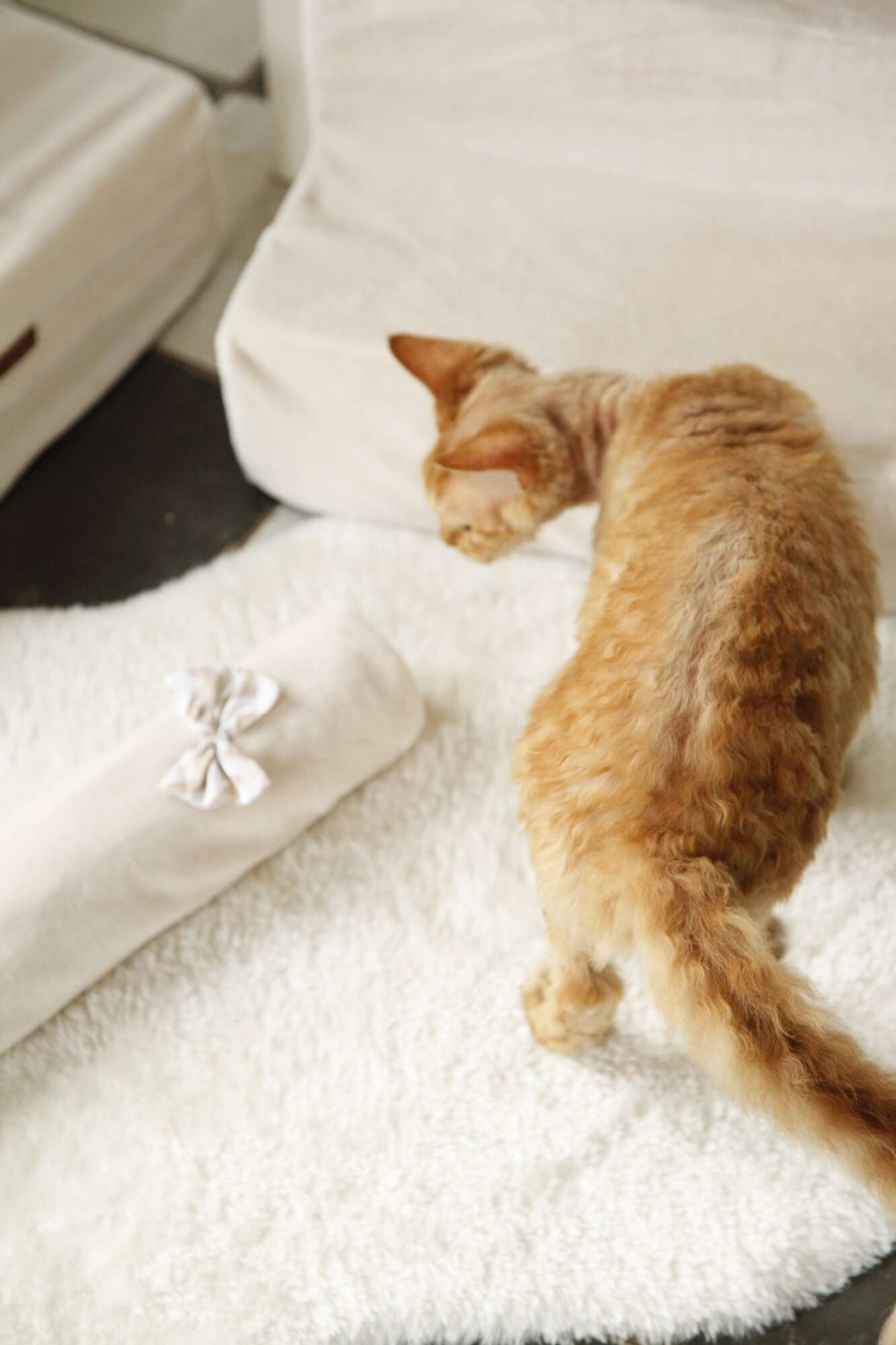 Плед для собаки Puffy Молочный