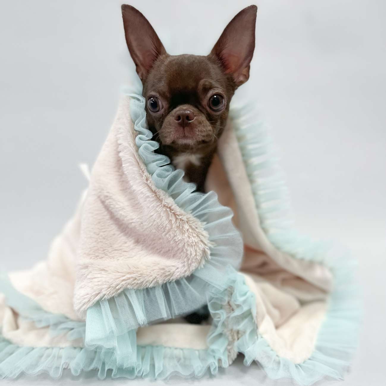 Плед для собаки Puffy Мэджик