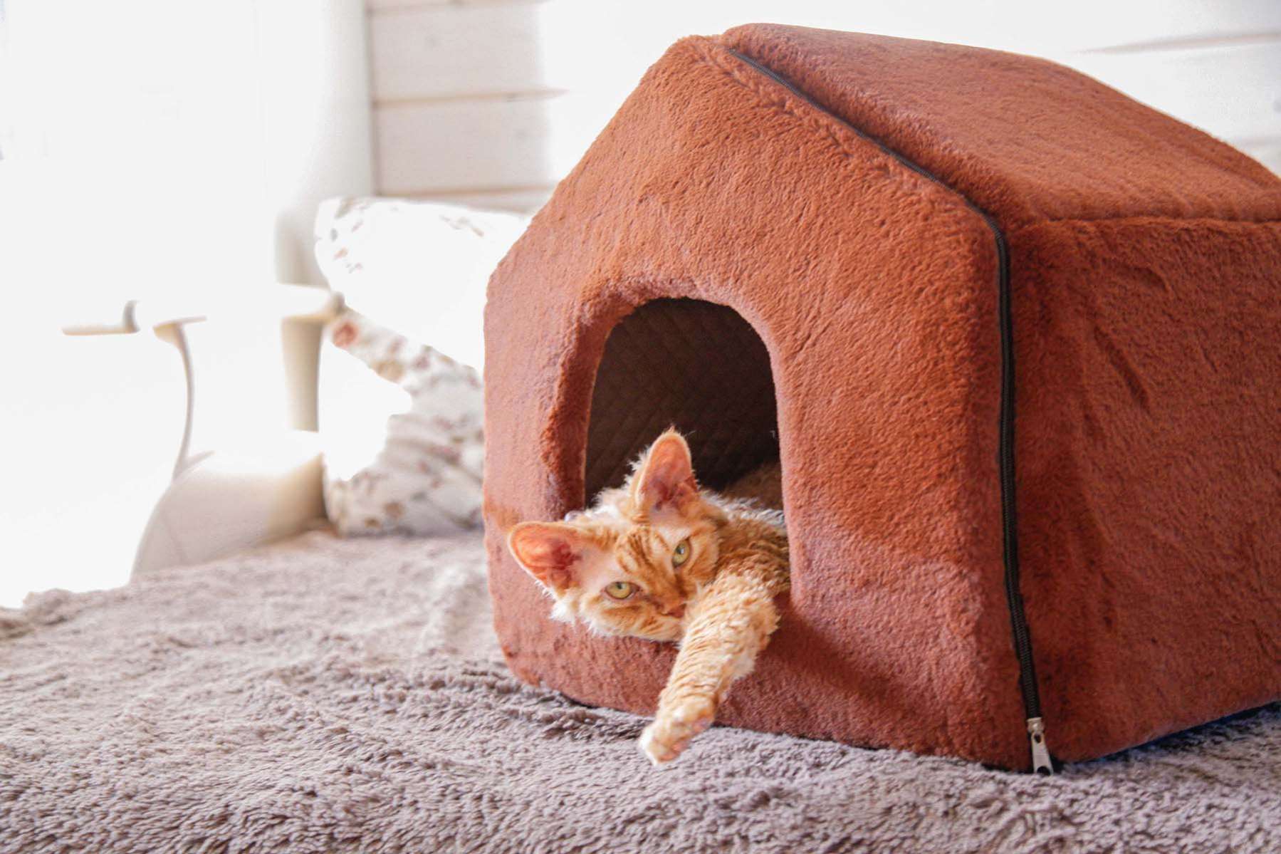 Домик для собаки Puffy Fancy Каштан