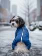 Зимний комбинезон для собак Puffy Норд Синий