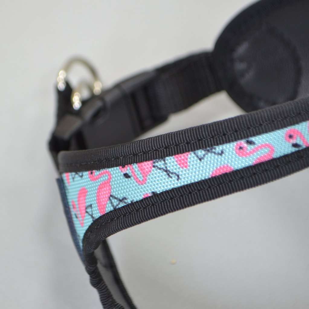 Шлейка для собак Практиш с застежкой