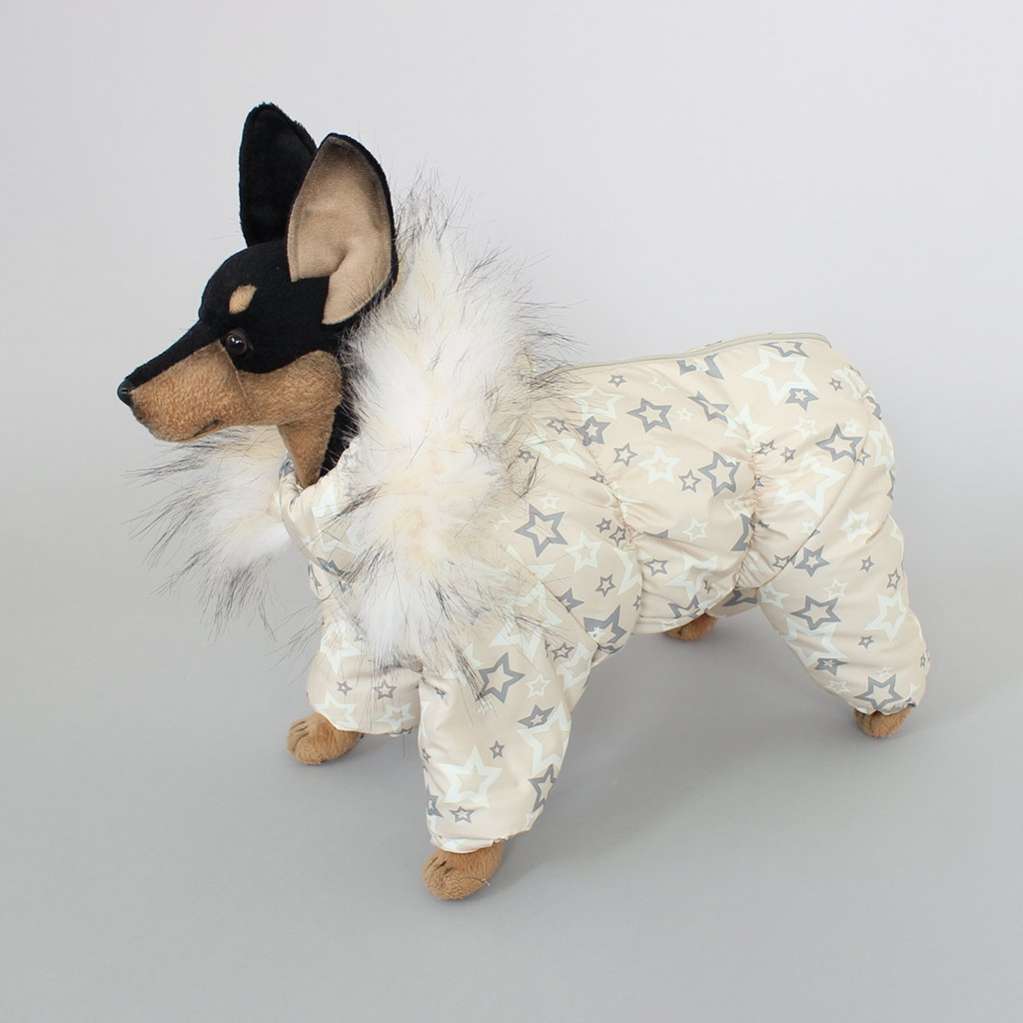 Комбинезон для собак Аляска Звезды