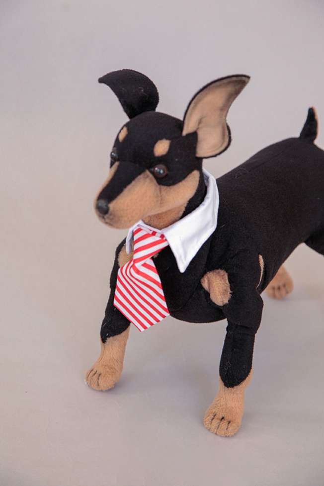 Галстук для собак Pet Boss