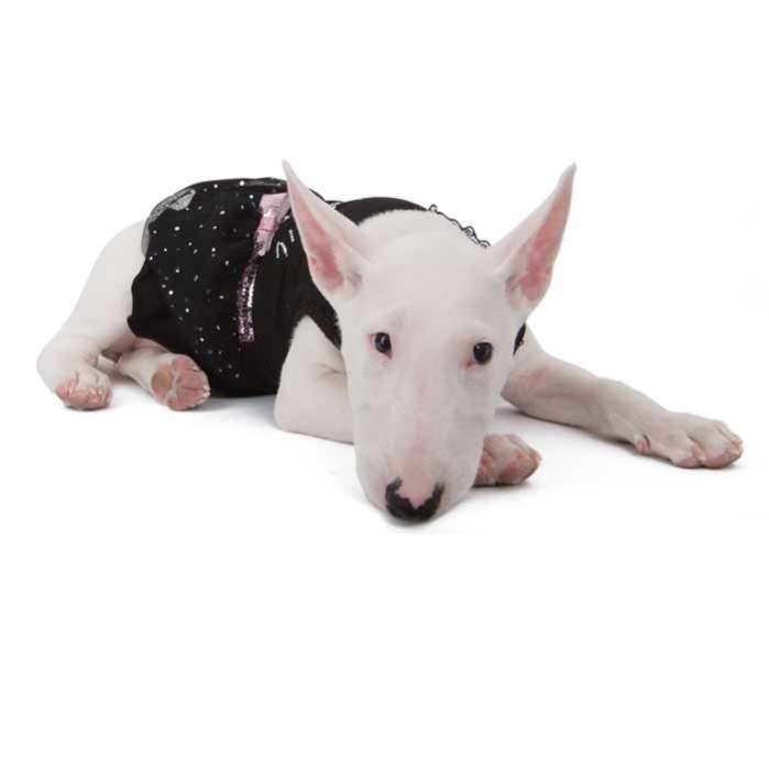 Платье для собак PA Гламурная принцесса