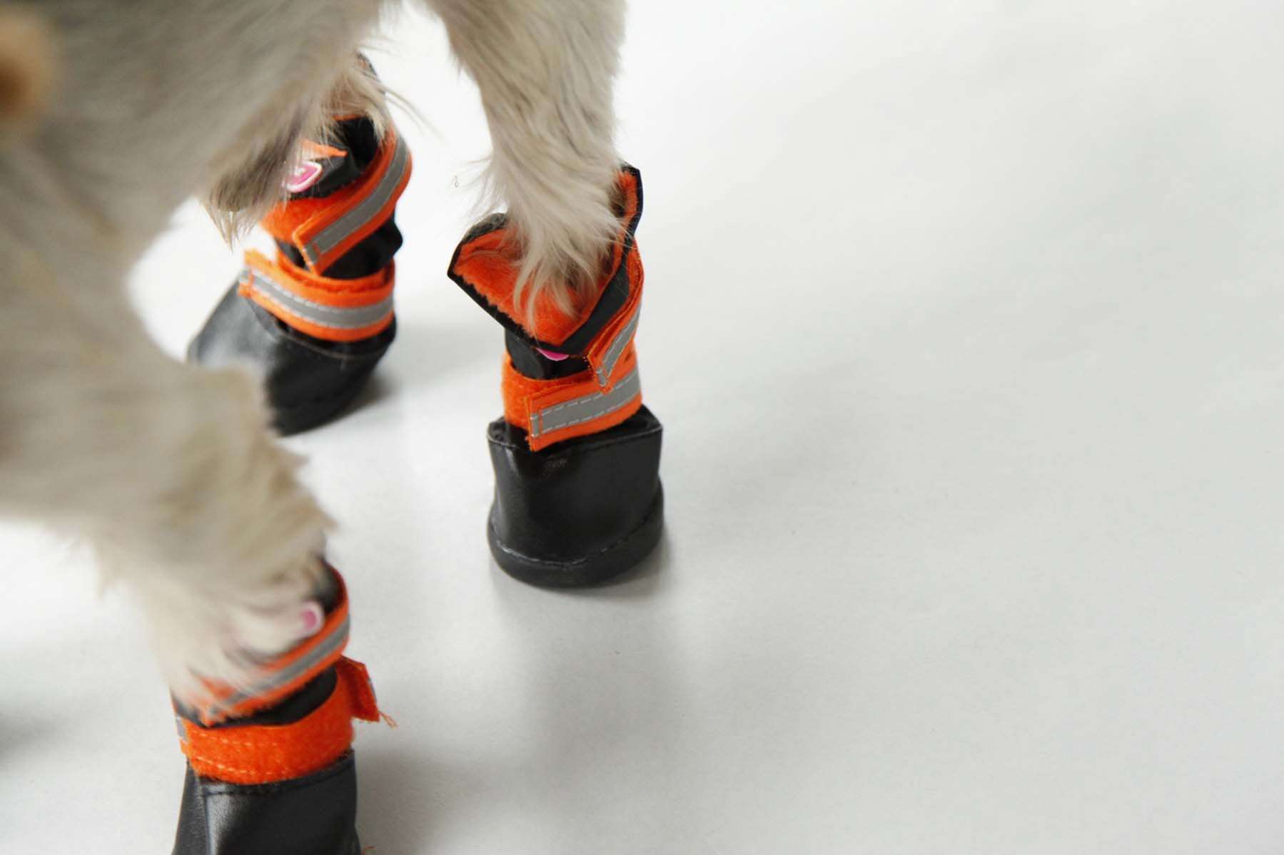 Сапоги для собак ForMyDogs Урбан Черно-Синие