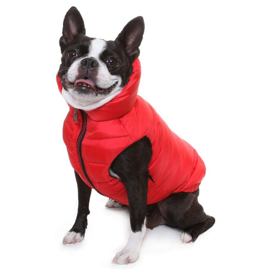 Жилетка для собаки PuppyAngel Шамони