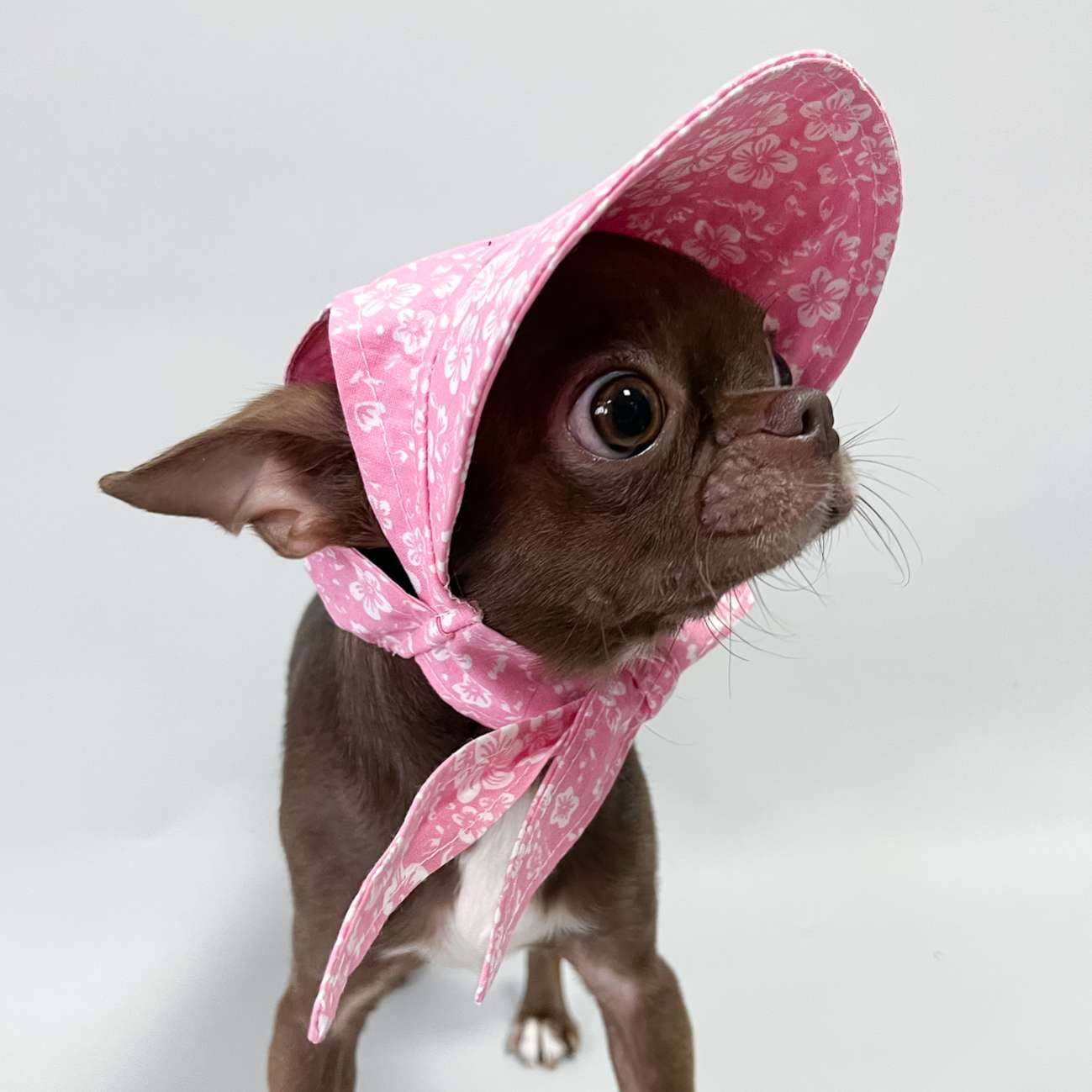 Панама для собаки Premium Фло