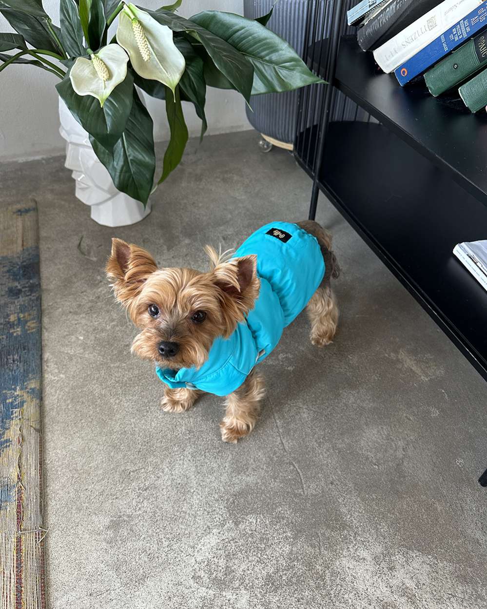 Жилетка Puffy Рич бирюзовая