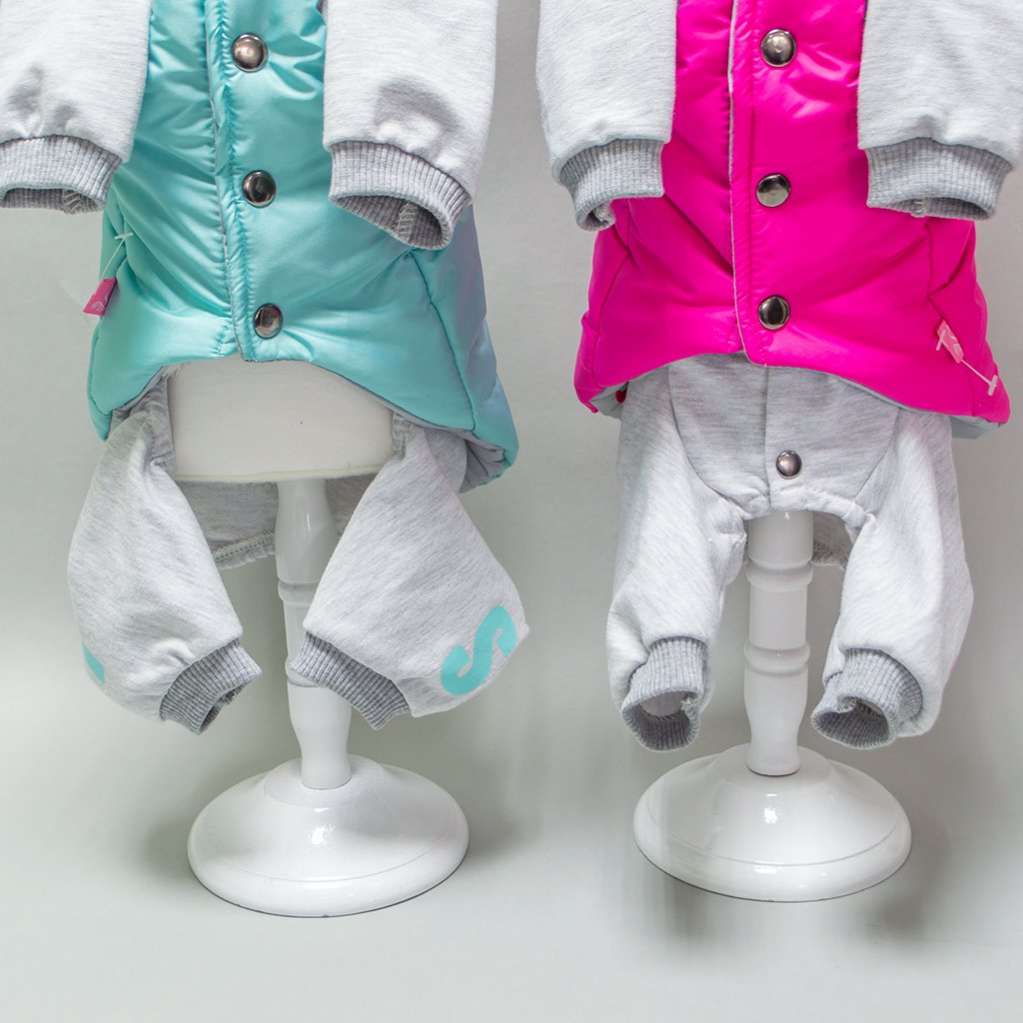 Комплект костюм и жилет для собаки Premium Неон