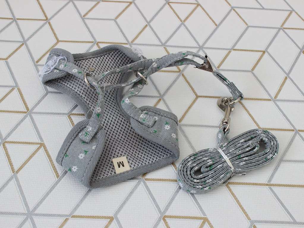 Шлейка с поводком для собак Pet Флёр