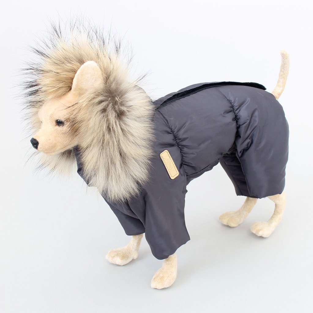 Зимний комбинезон для собак Северное сияние Графит