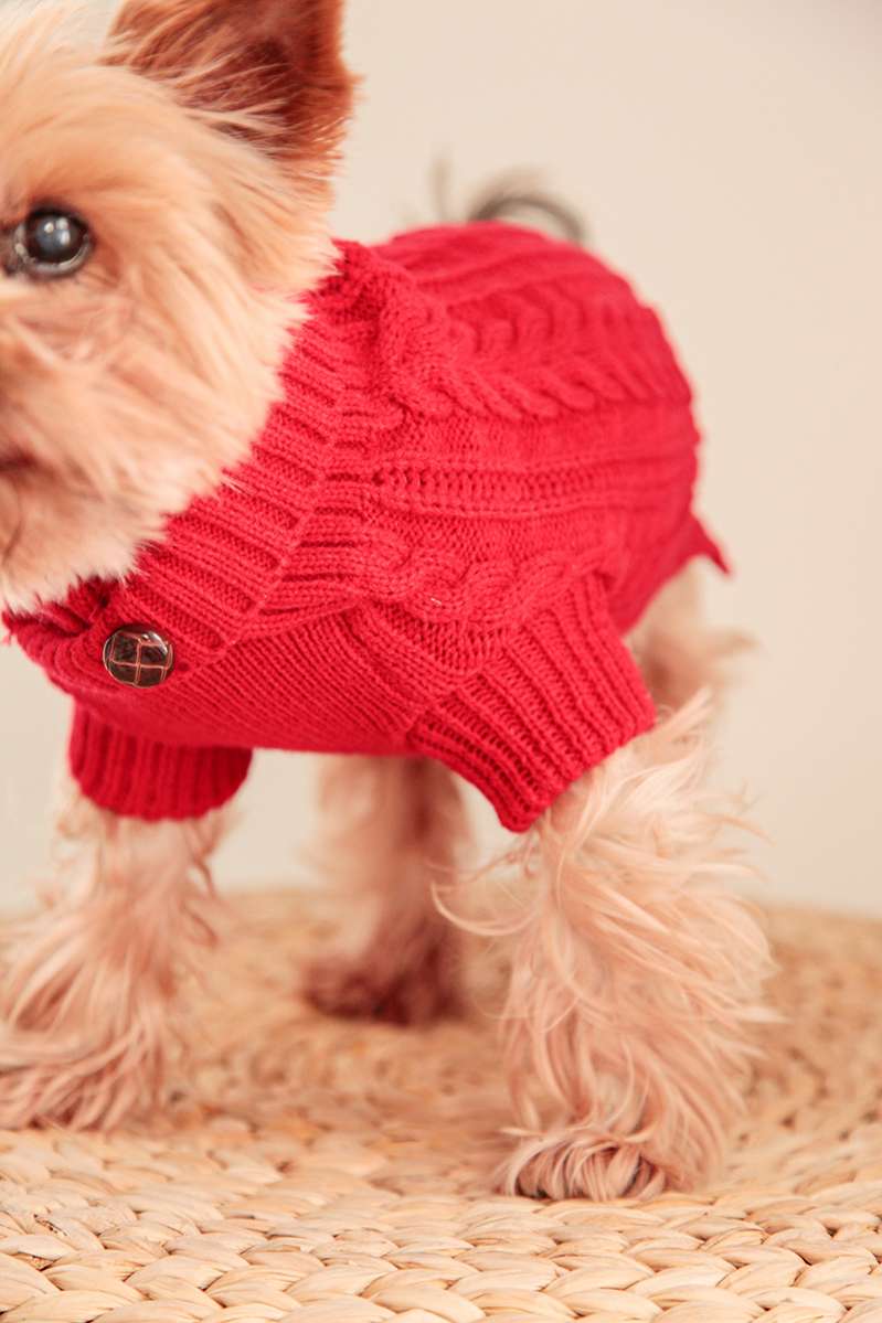 Кардиган для собаки Pet Эмерсон