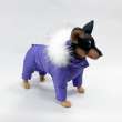 Комбинезон для собак Северное сияние Вайлет