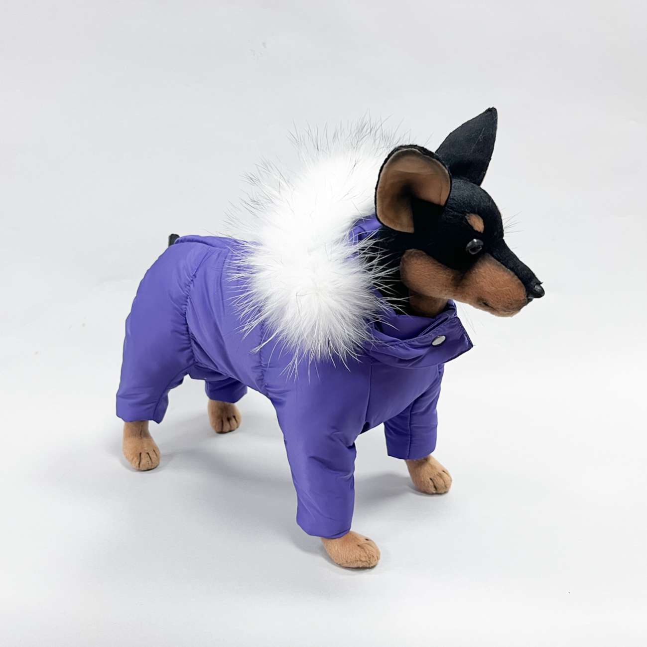 Комбинезон для собак Северное сияние Вайлет