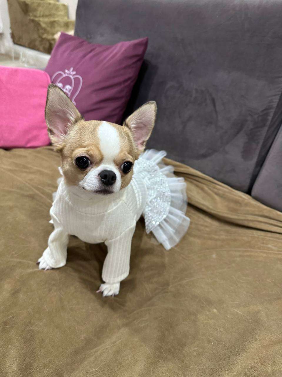 Платье Puffy Коко молочное