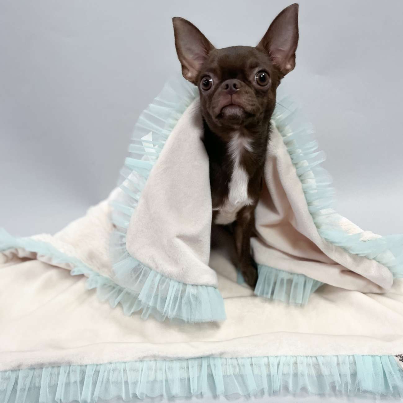 Плед для собаки Puffy Мэджик