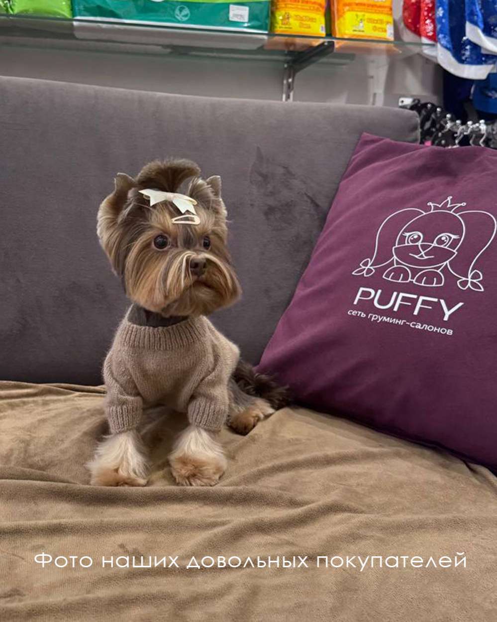 Вязаный свитер для собак Puffy Пух норки Бежевый