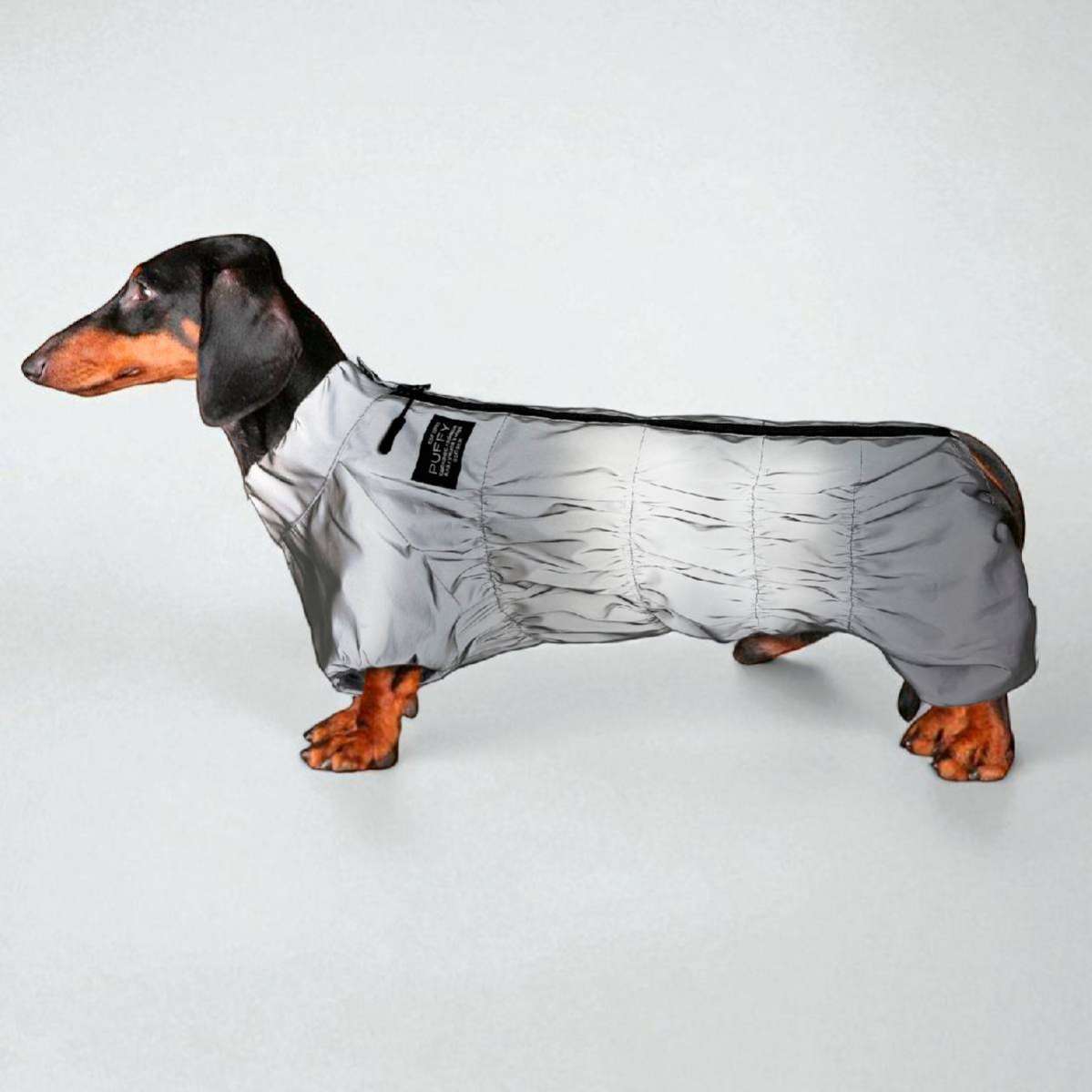 Утепленный дождевик Puffy для такс и корги светоотражающий