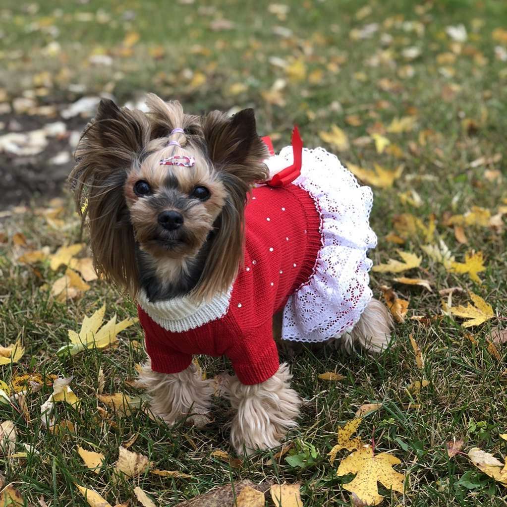 Шерстяное платье для собак Puffy Мэри