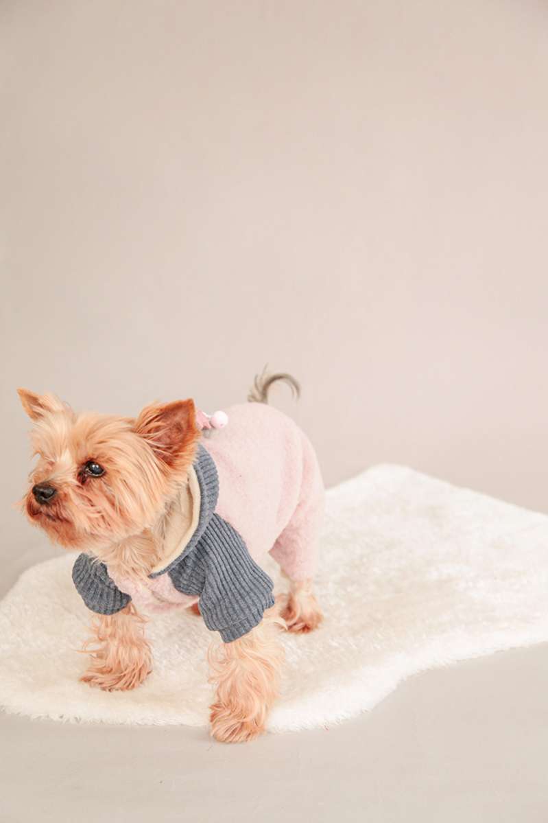 Костюм для собак утепленный Pet Фунтик