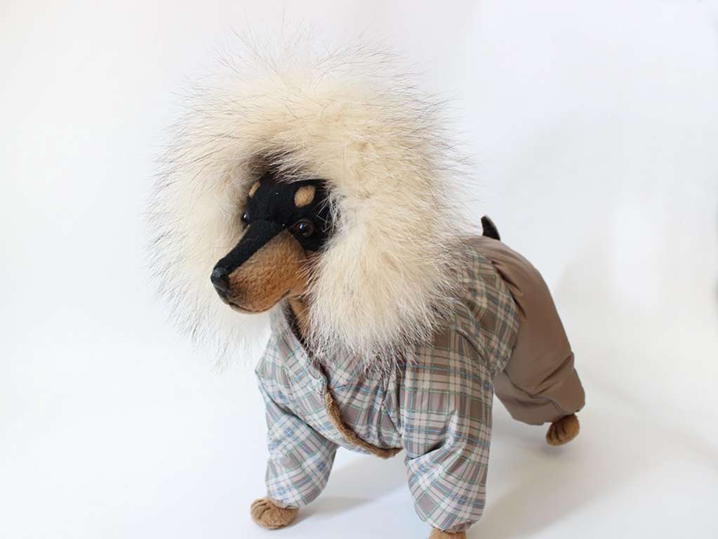 Комбинезон для собак Арктика Клетка