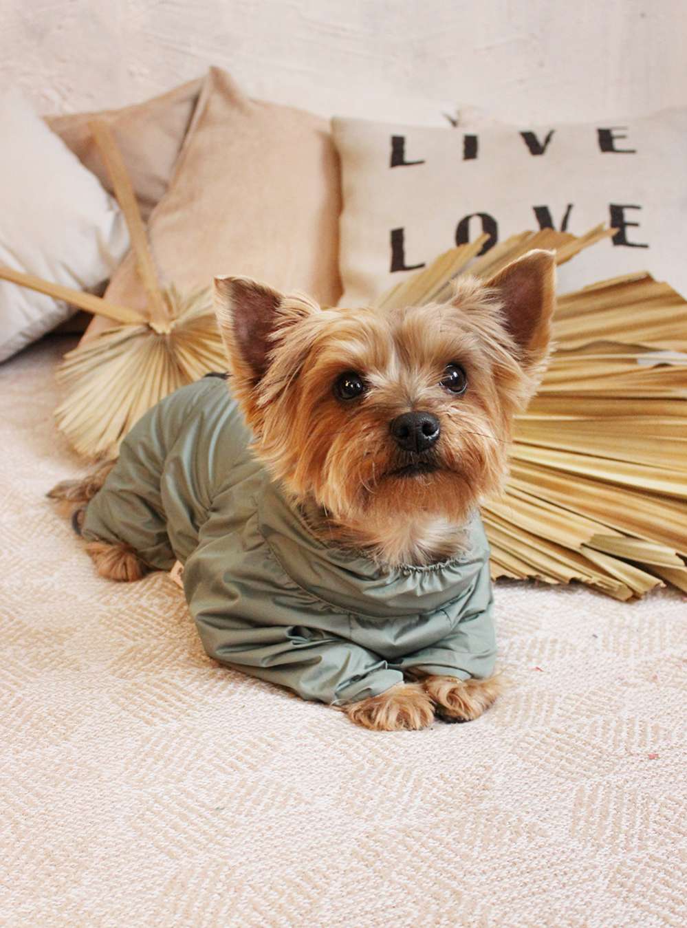 Дождевик для собаки утепленный Puffy Лестер