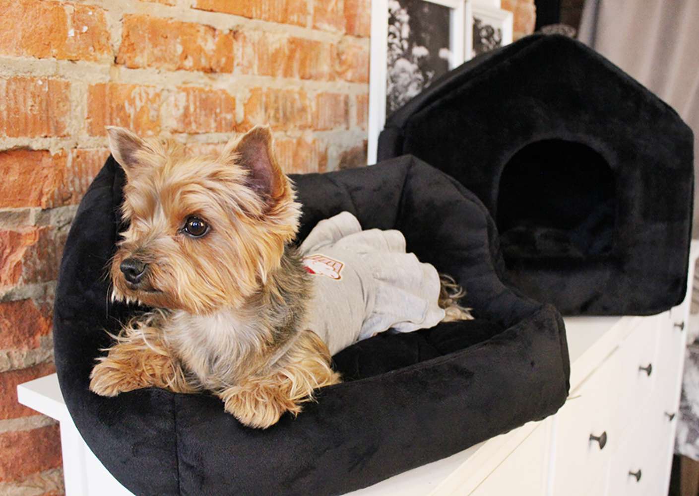 Домик для собаки Puffy Fancy Dark