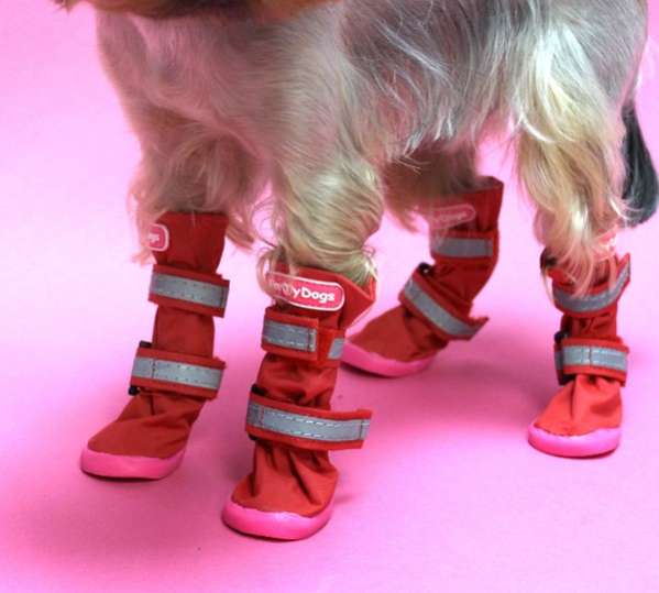 Сапоги для собак ForMyDogs Демисезонные