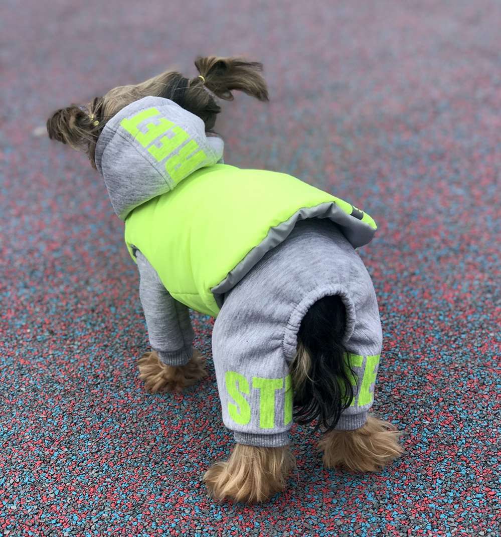 Костюм для собак трикотажный Premium Неон