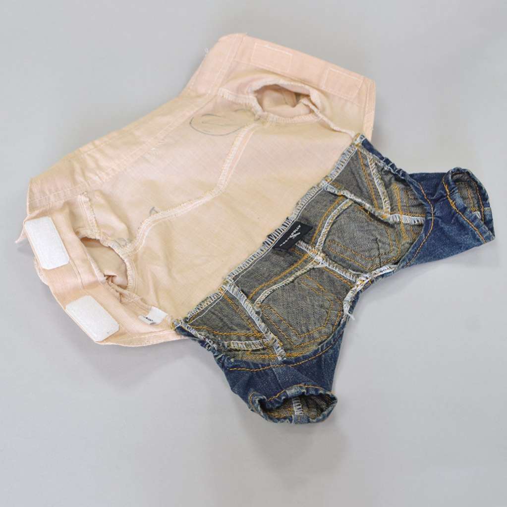 Рубашка с джинсами для собак DD