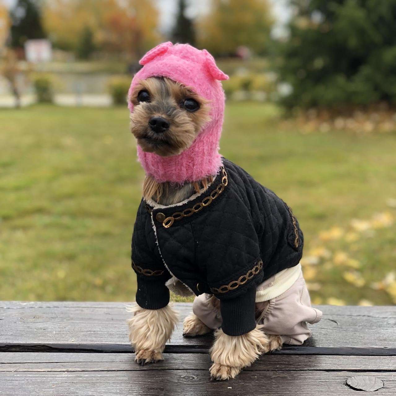 Вязаная шапка для собаки капор с закрытыми ушами Puffy Бантики