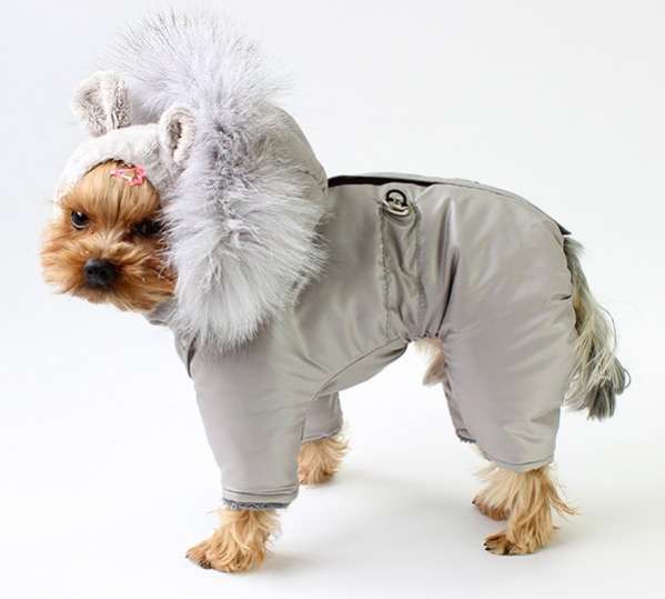 Зимний комбинезон для собак Северное сияние Серебро