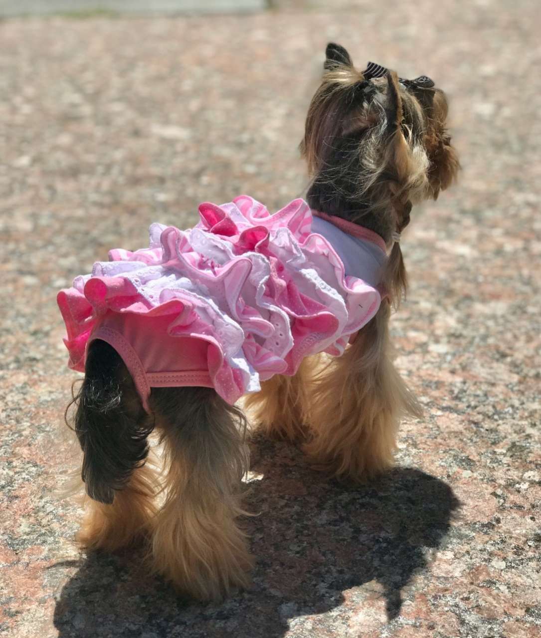 Платье для собак Premium Зефир