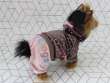 Костюм для собак велюровый ForMyDogs Конфетти
