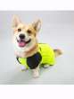 Дождевик для таксы и корги Puffy Лайм Лимонный