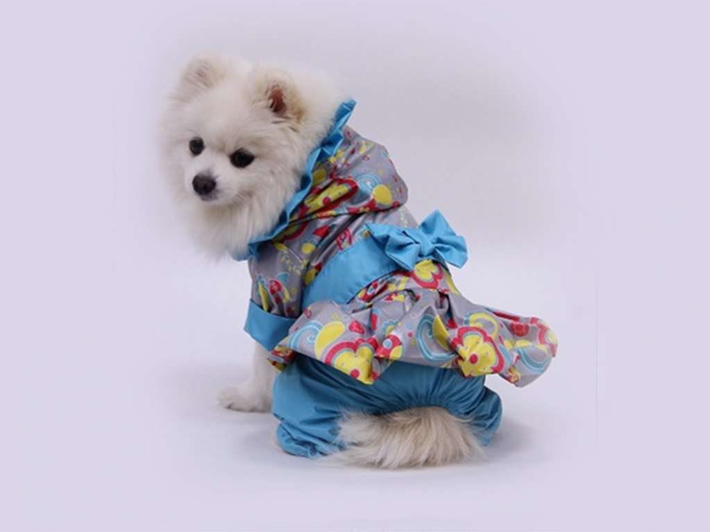 Дождевик для собаки Бирюза