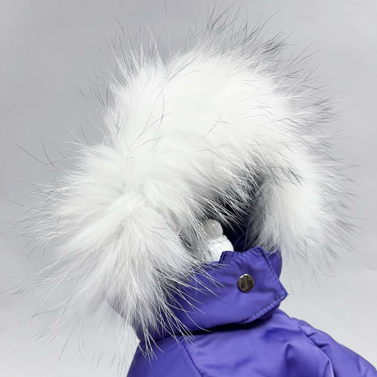 Комбинезон для собак Северное сияние Вайлет