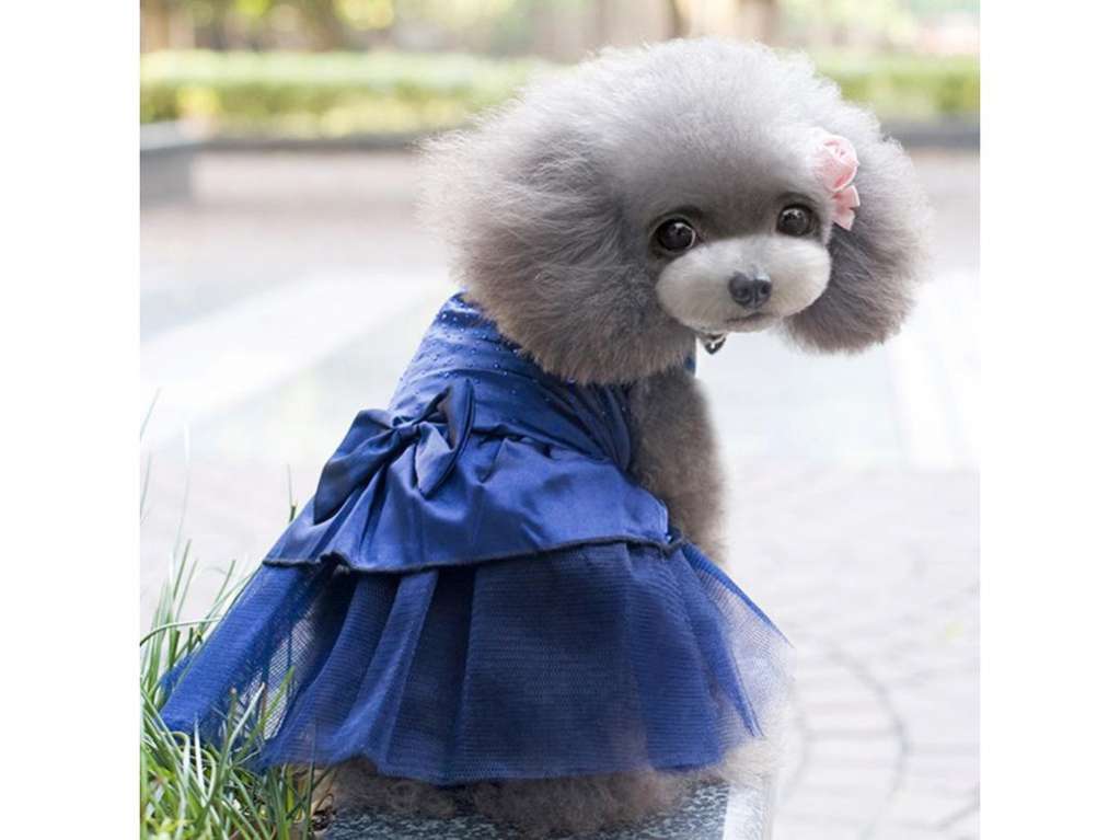 Праздничное платье для собак Pet Стразы
