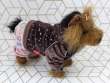 Костюм для собак велюровый ForMyDogs Конфетти