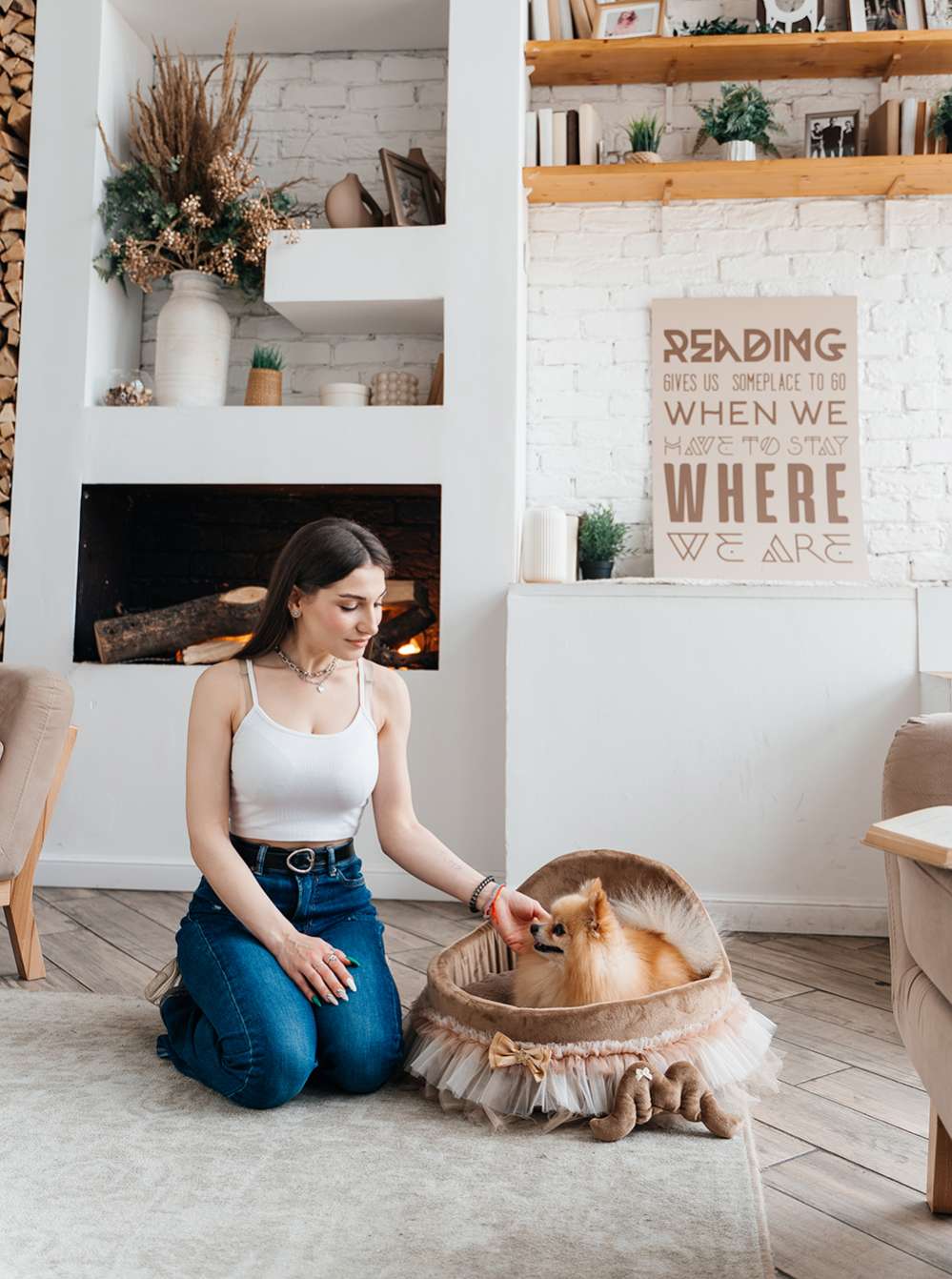 [Лежак] Лежанка для собак со спинкой Puffy Мокко