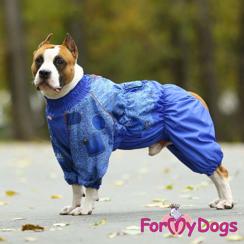 Комбинезон для собак средних и крупных пород ForMyDogs Blue