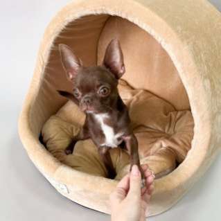 Домик для собаки круглый Puffy Миндаль