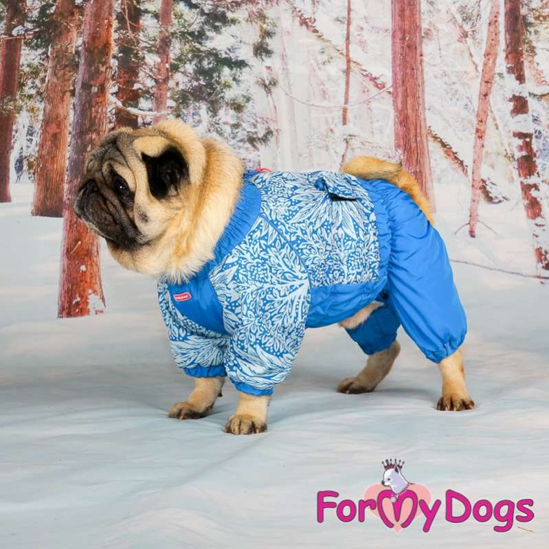 Комбинезон для собак на широкую грудь ForMyDogs Васильки
