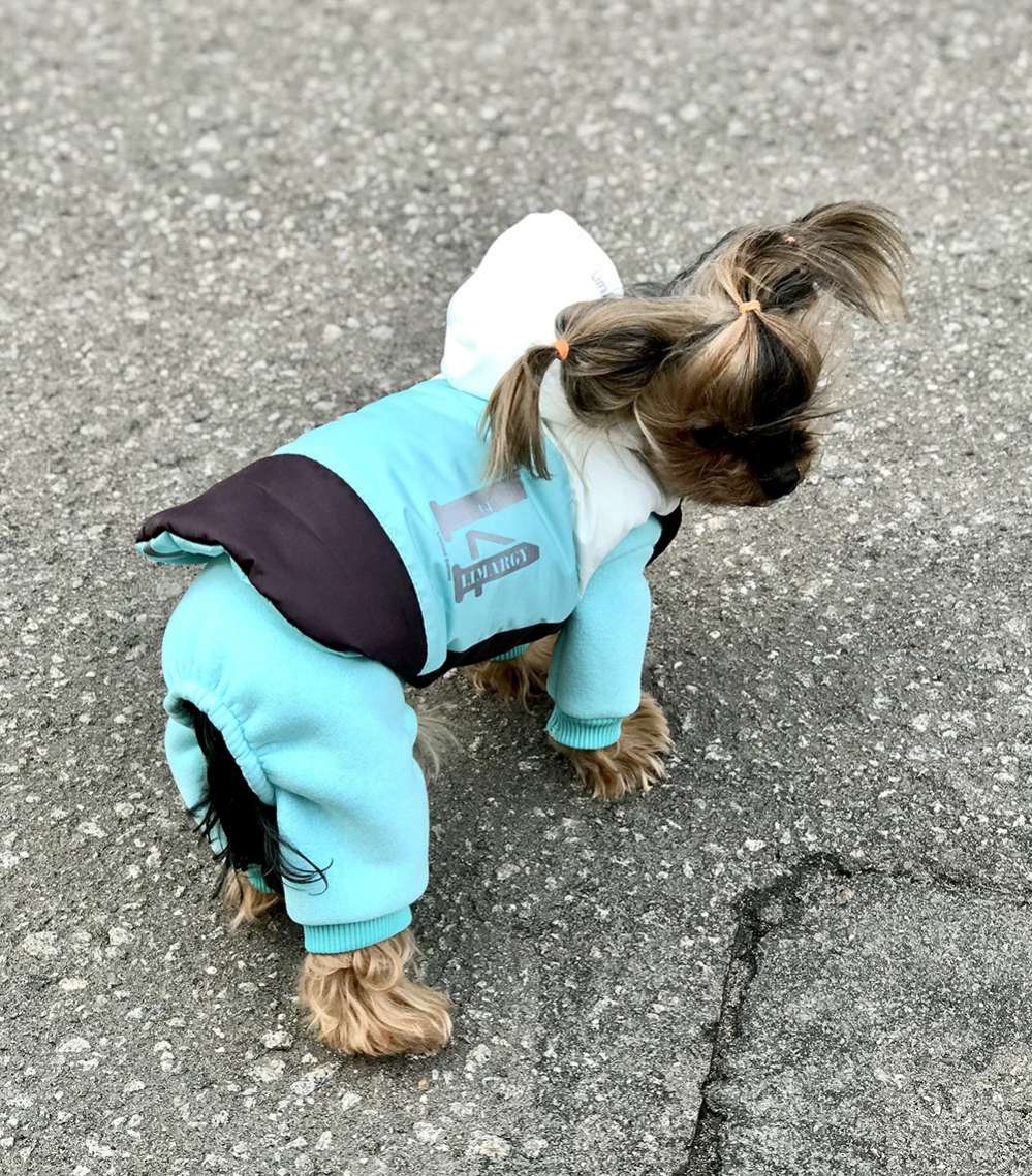 Костюм для собак теплый Premium 15