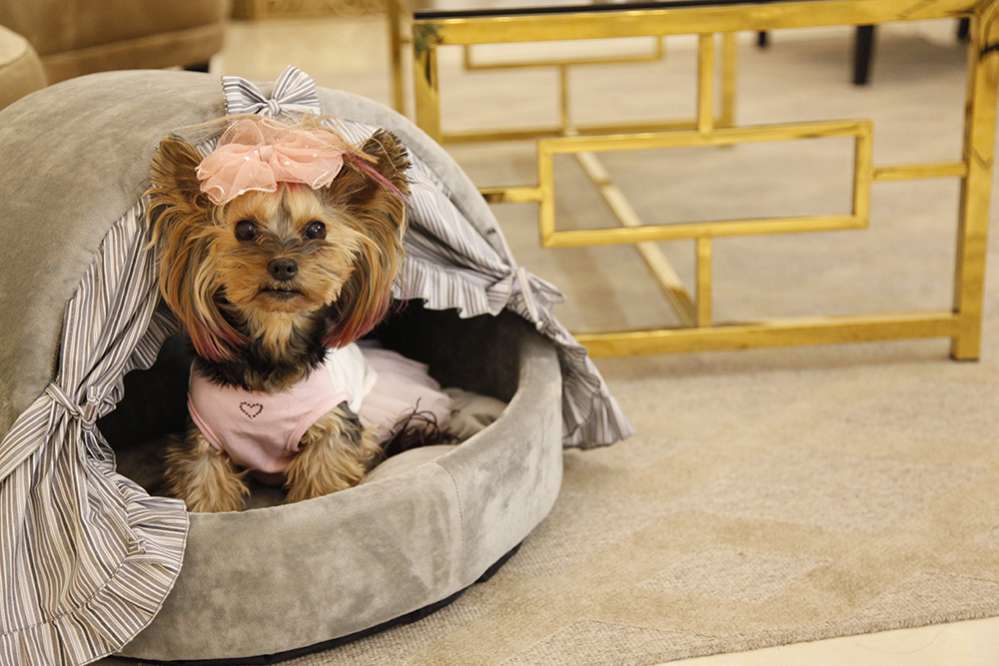 Домик для собаки со шторками Puffy Пепел