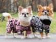 Комбинезон для собак шубка ForMyDogs Норфолк