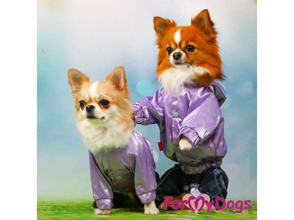 Дождевик для собаки ForMyDogs Пурпур